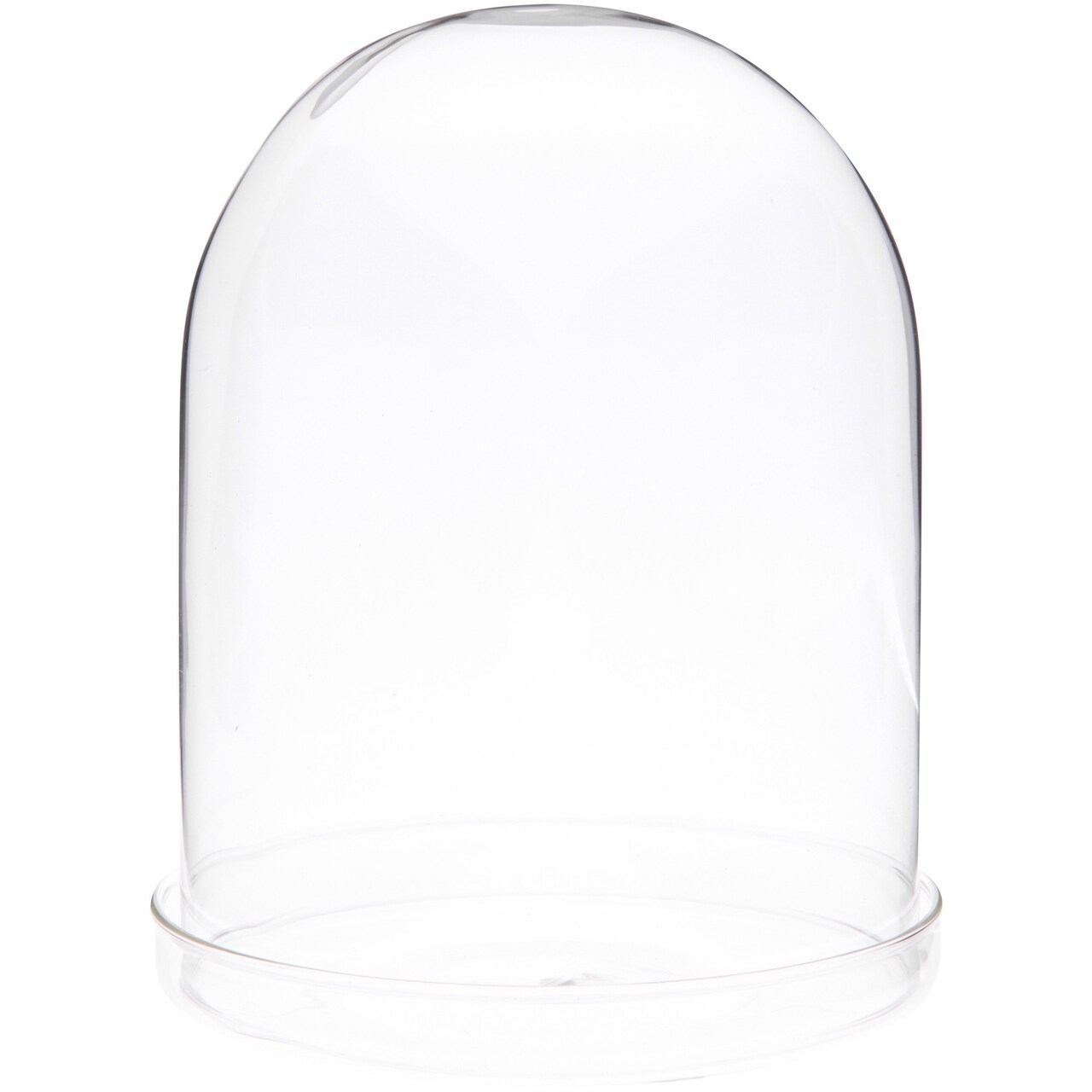Plymor 4.5" x 6" Glass Display Dome Cloche (Clear Glass Tray Base)